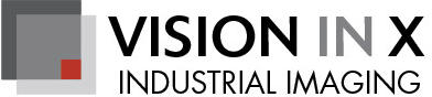 Vision in X Logo
